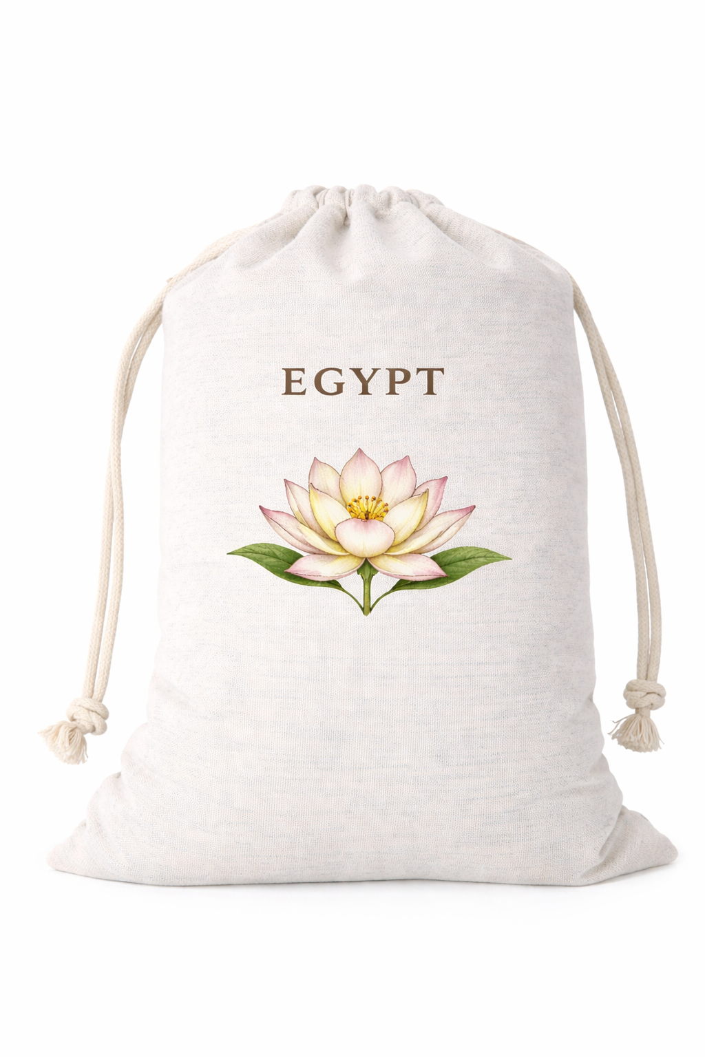 Egypt Frosted Glass Tumbler with Straw & Bag – 16oz Glass Cup