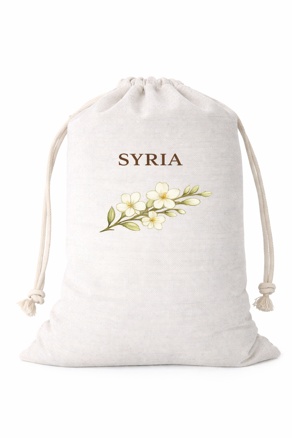 Syria Frosted Glass Tumbler with Straw & Bag – 16oz Glass Cup